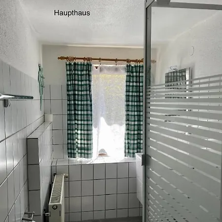 Murmeltier Pensionat Hausen im Tal