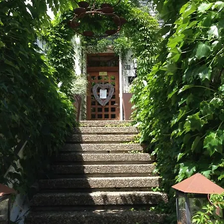 Murmeltier Pensionat