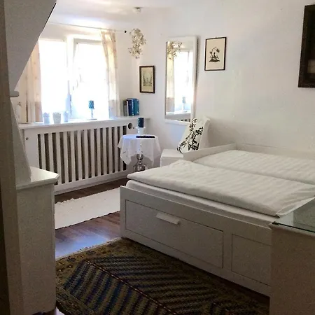 Murmeltier Hausen im Tal